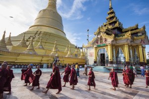 Myanmar monks