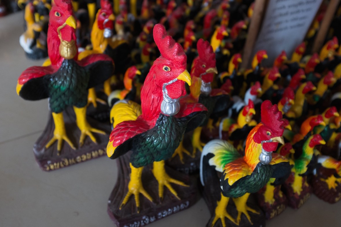 Roosters at Wat in Bangkok