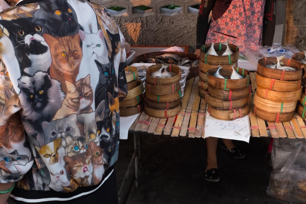 Cats and Fish Bangkok