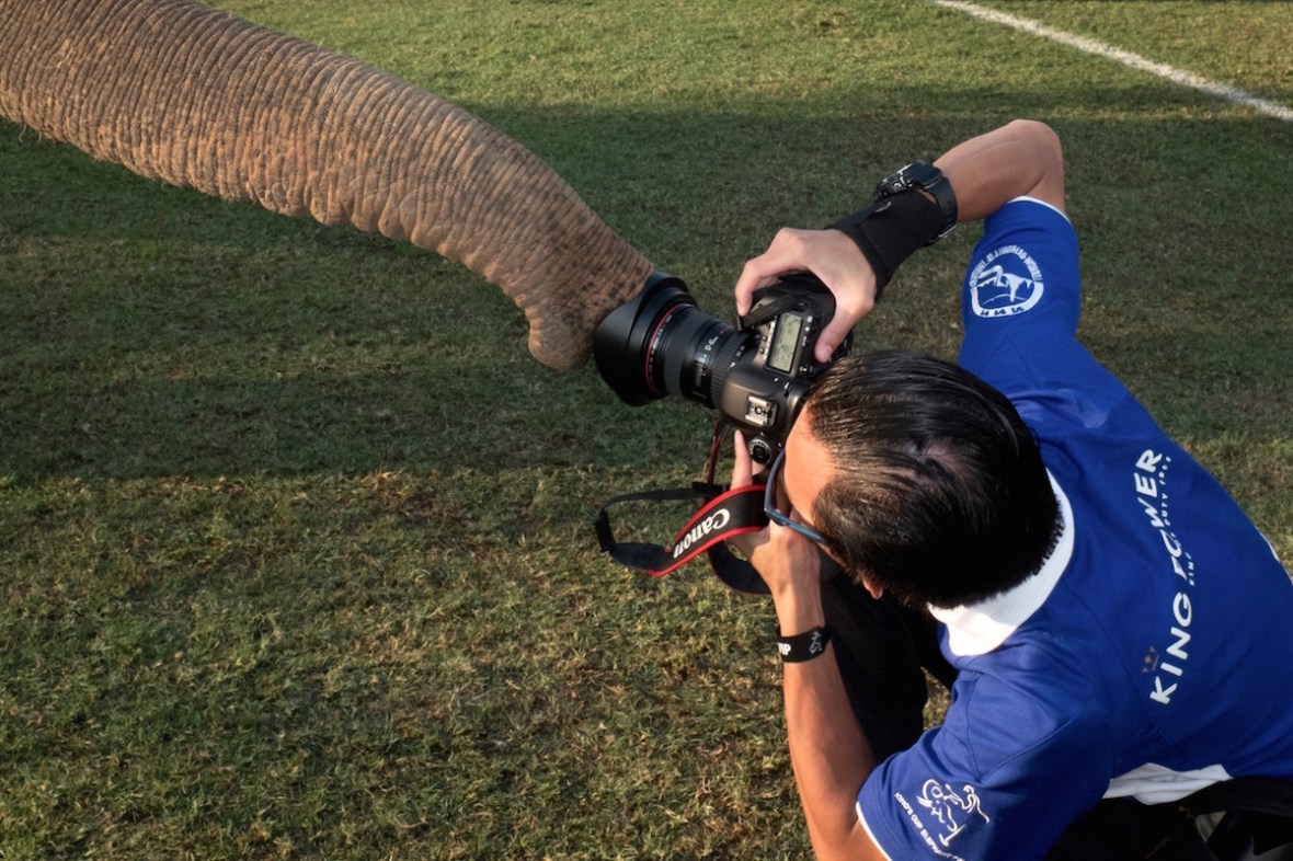Elephant Polo Bangkok