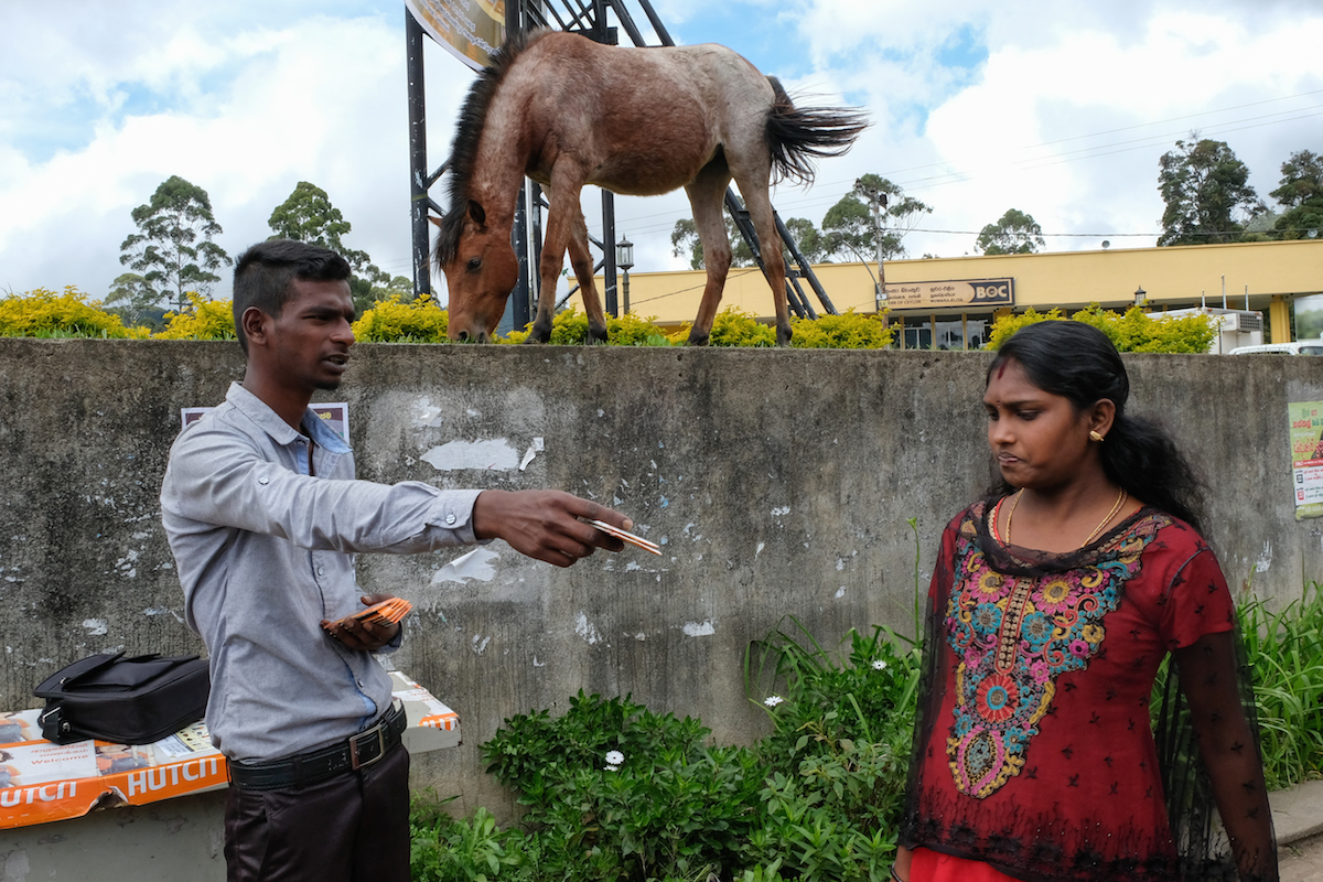 Sri lanka street photo with horse