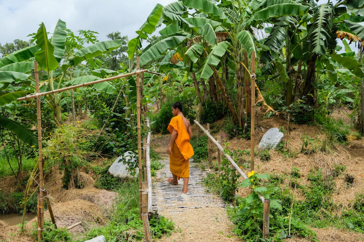 Novice monk