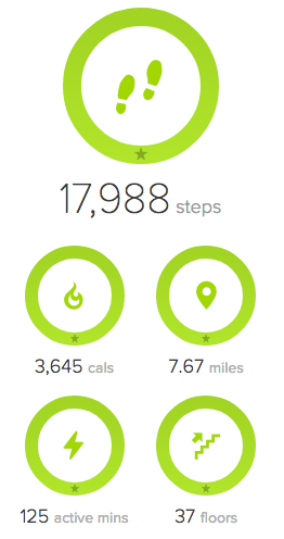 Fitbit Stats