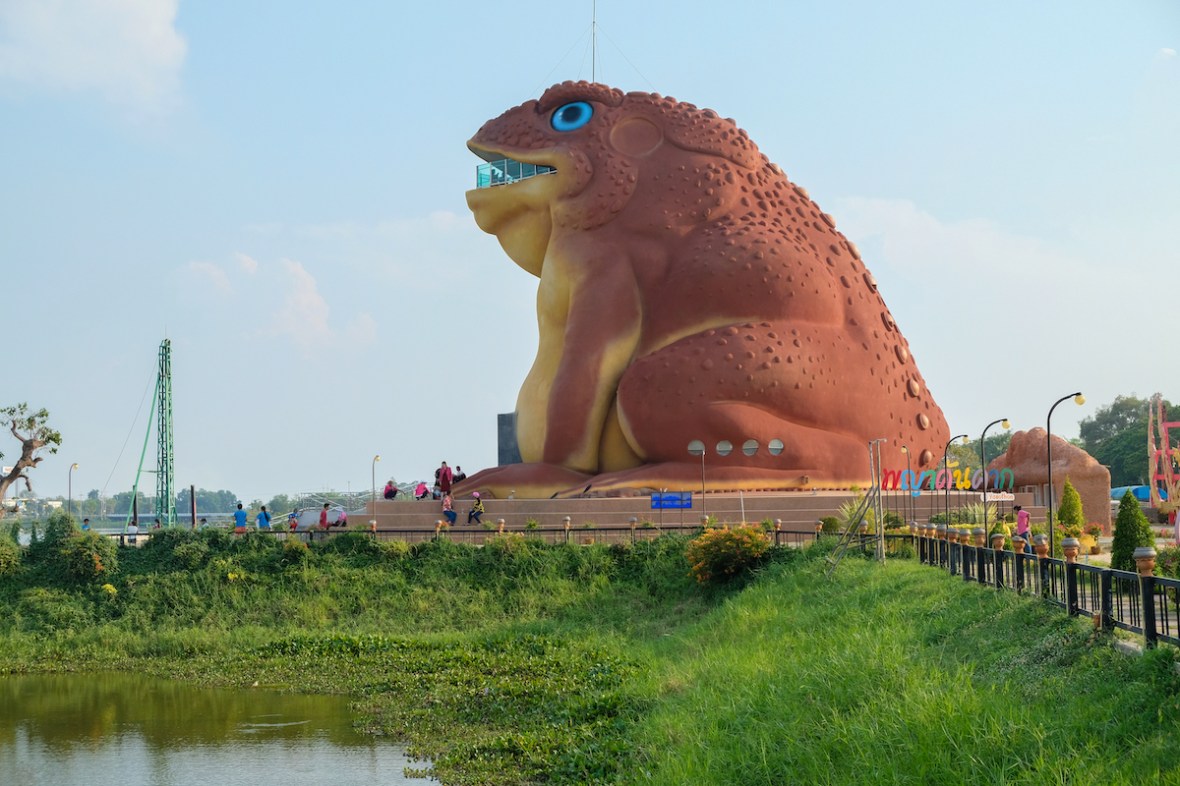 Yasothon frog
