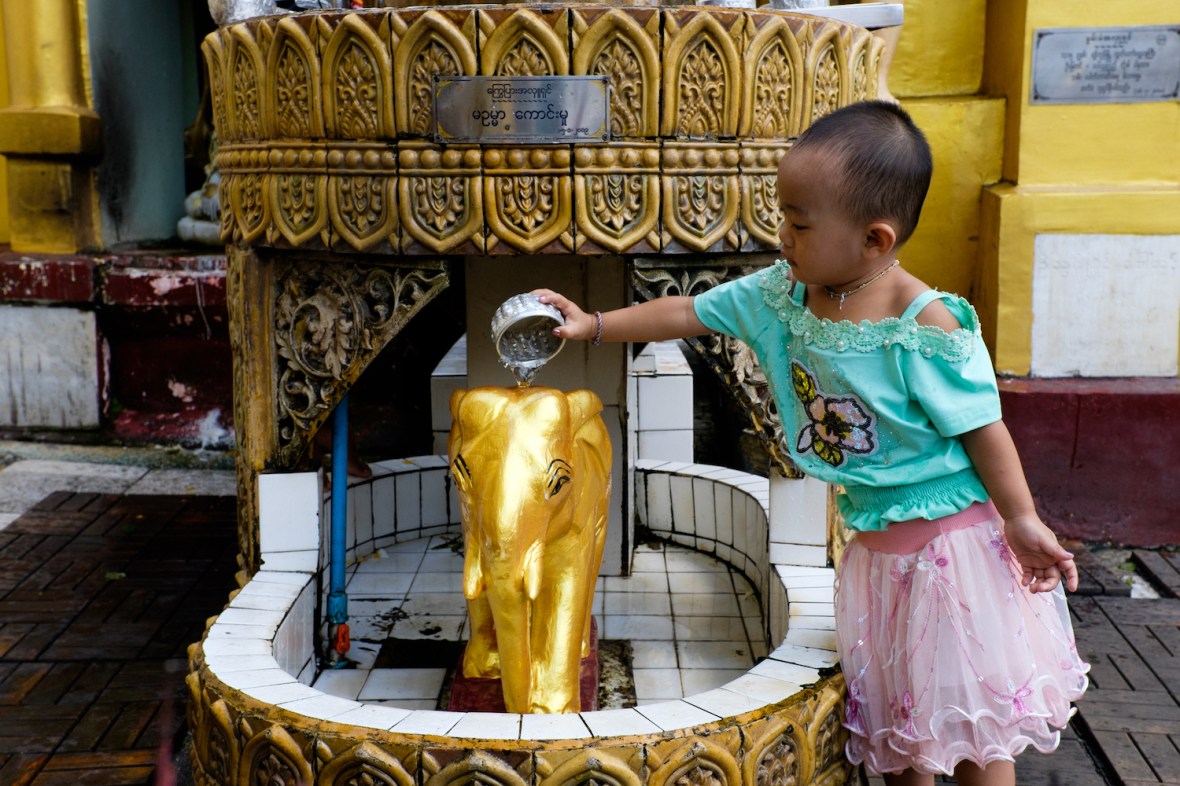 Shwedagon Pagoda Girl