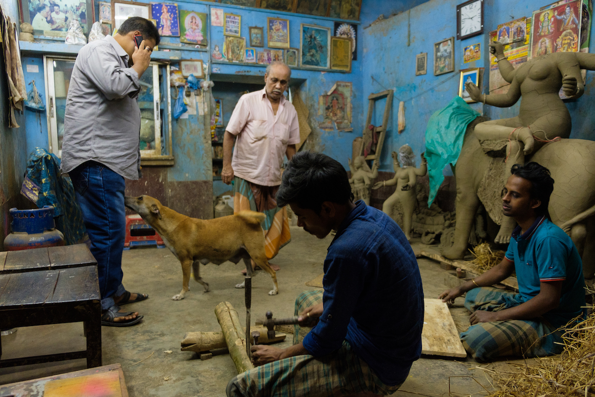 Dhaka Street Photo Dog